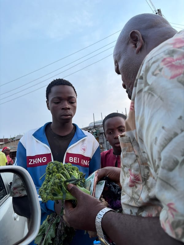 Street market vendors sell vegetables in Gura Top Nigeria