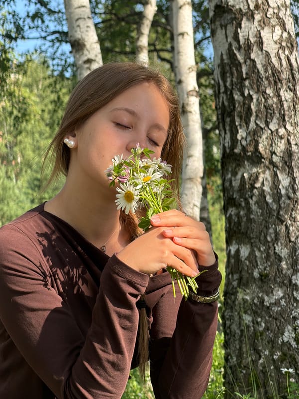 Daisy-filled afternoon among birch trees in Lysva