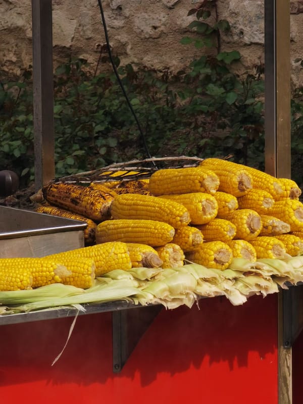 Morning stroll captures everyday Istanbul street life and landmarks