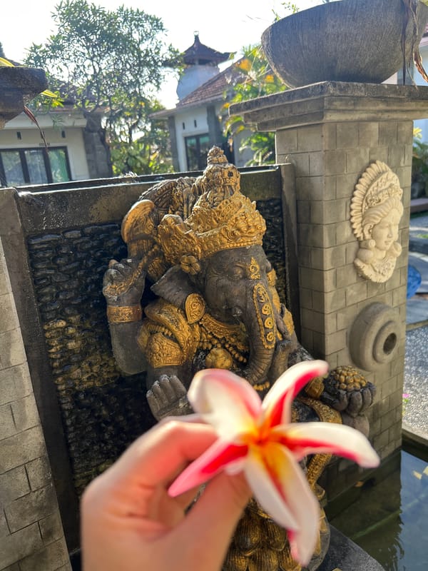 Morning tropical moments captured in Kuta Selatan Indonesia