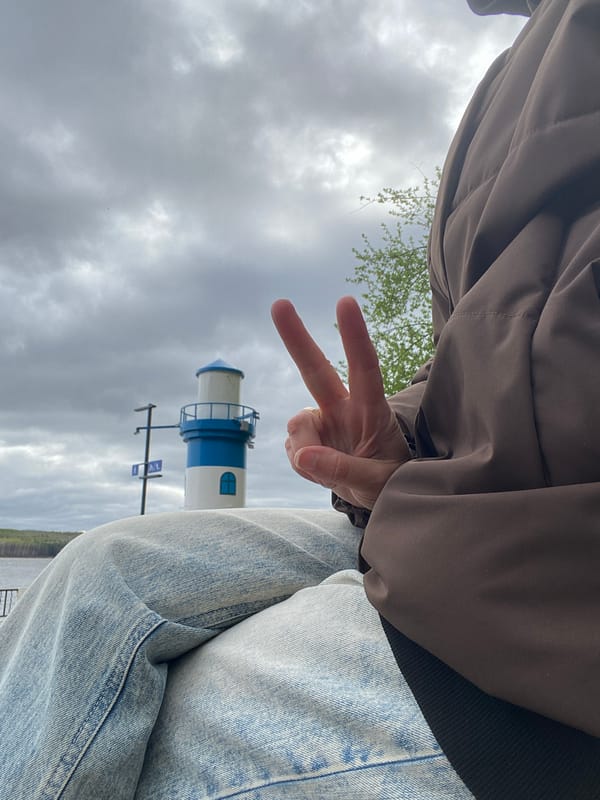 Morning life around Chaikovsky waterfront lighthouse captured by witnesses