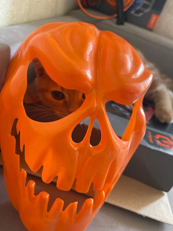 Orange kitten plays with Halloween mask, toy mouse in Russia