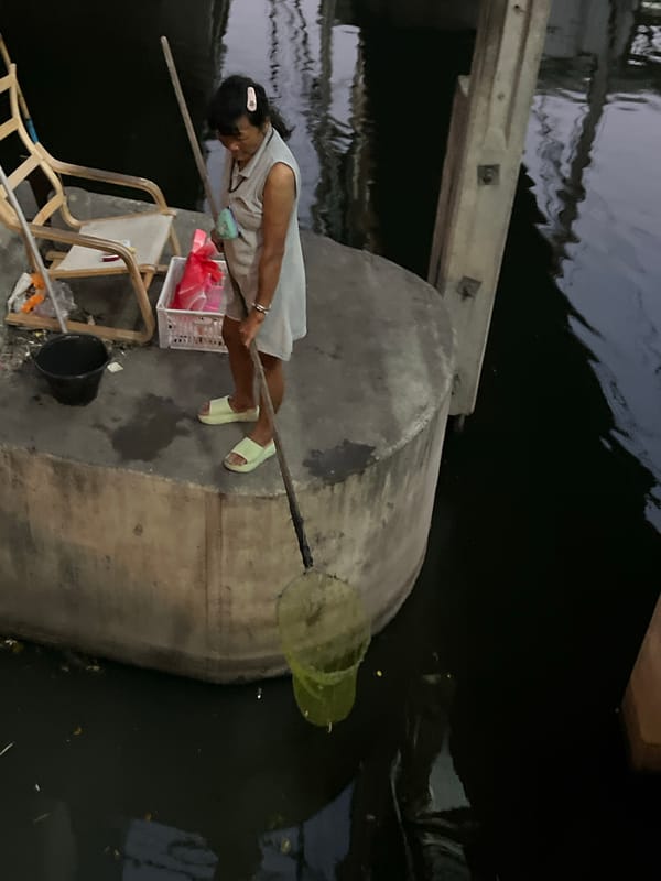 Market scenes and human-animal interactions documented in Thai suburb