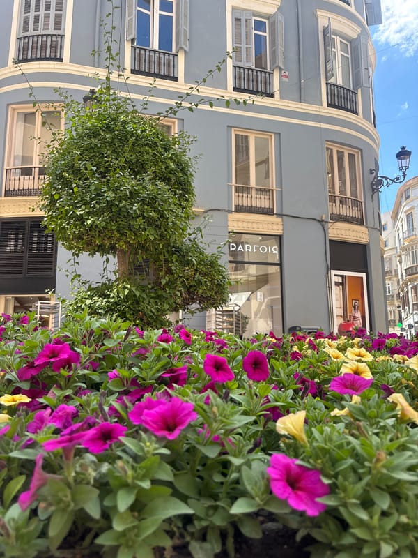 Málaga street scenes feature colorful flowers and architecture