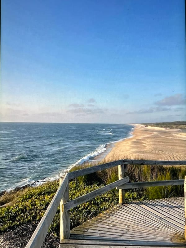Beachside picnic with a Parisian tote and boardwalk views