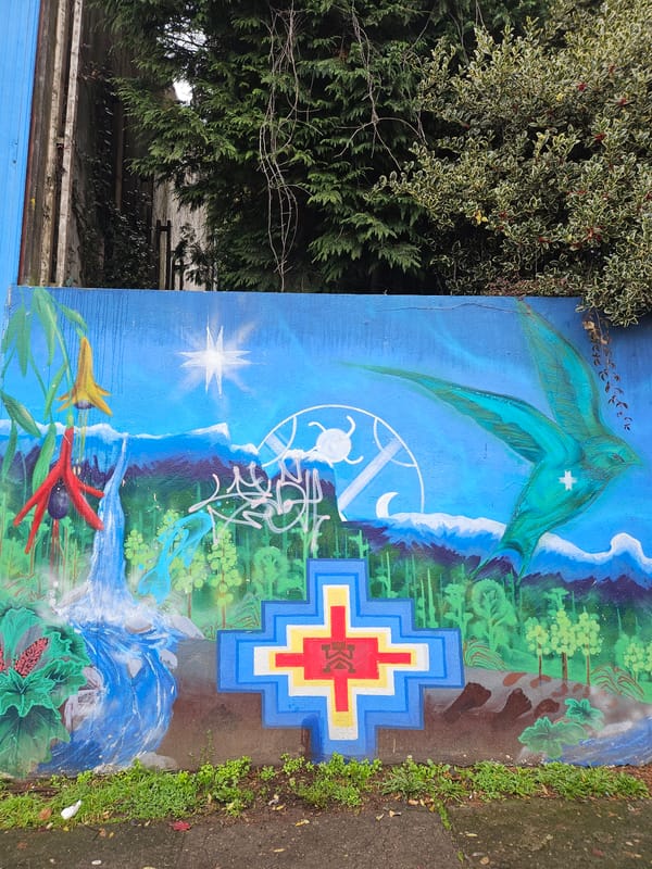 Street art documentation walk captured in Osorno, Chile