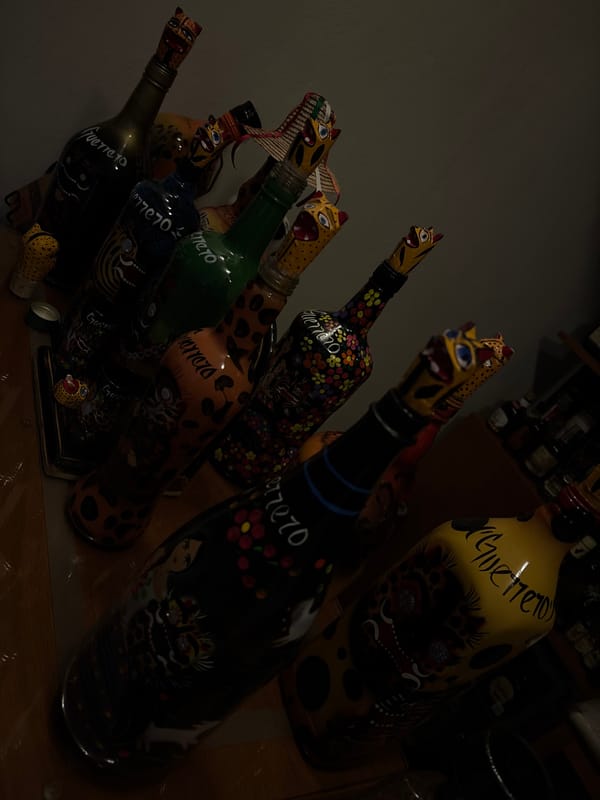 Nighttime drive documented through Heroica Puebla de Zaragoza, Mexico