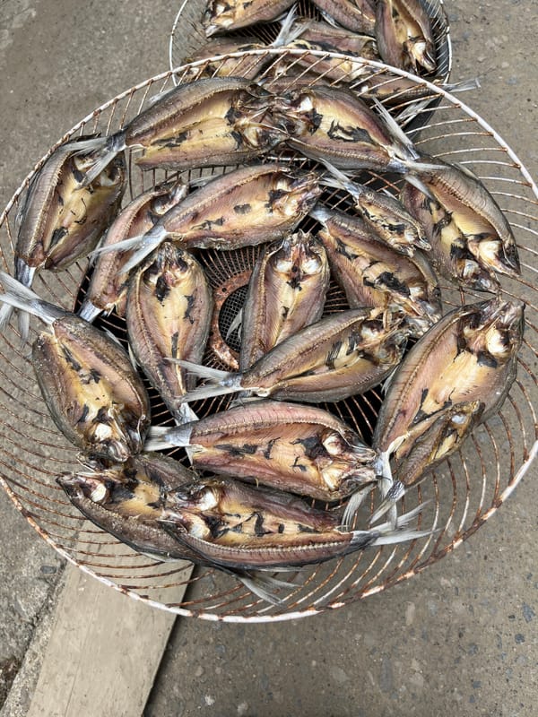 Dried fish on a rack, a cat napping — everyday Indonesia