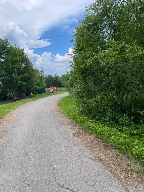 Rural walk through overgrown Prudy village, Russia