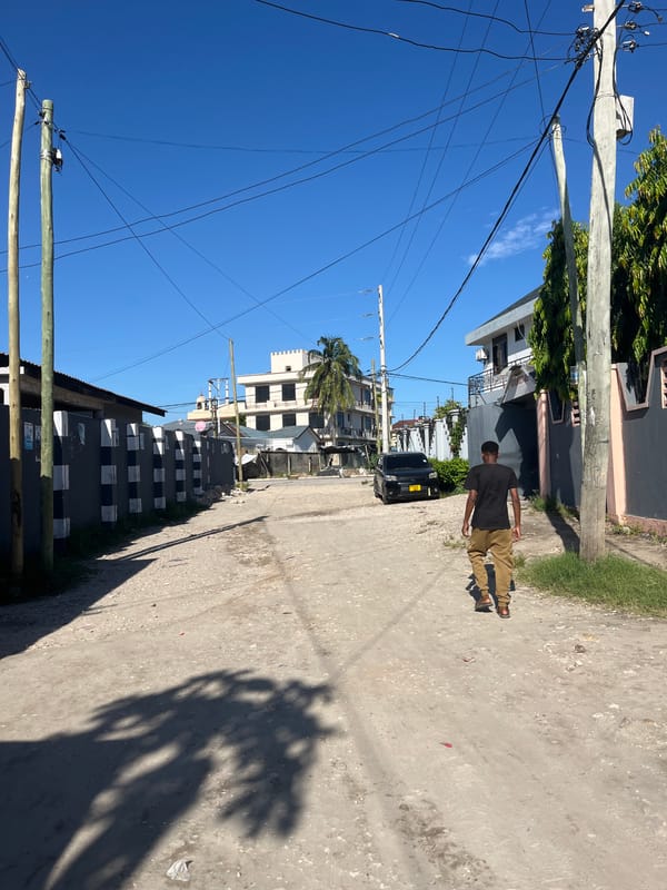 Pedestrian observed on Dar es-Salaam street during clear afternoon