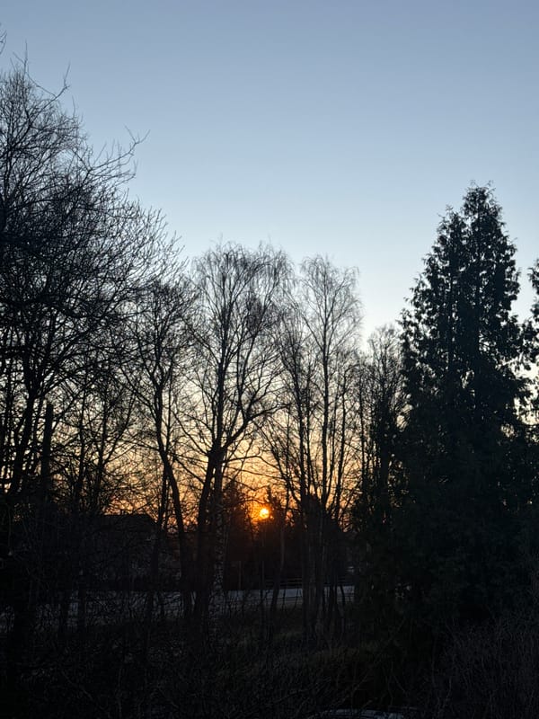 Dusk photograph captured in Carnikava, Latvia shows building through bare trees