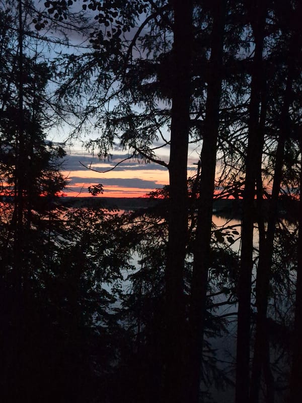Sunset observed through trees in Chernushka, Russia
