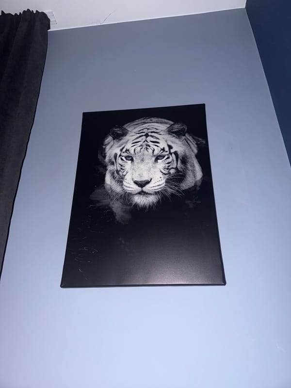 Tiger artwork displayed on wall in Sofia interior
