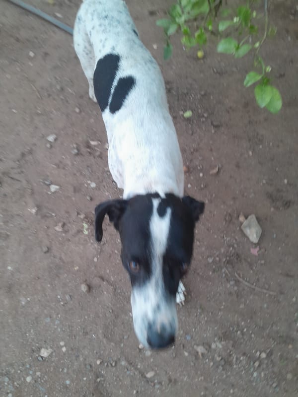 Evening walk through Santa Ana, Venezuela captured in 30 memories