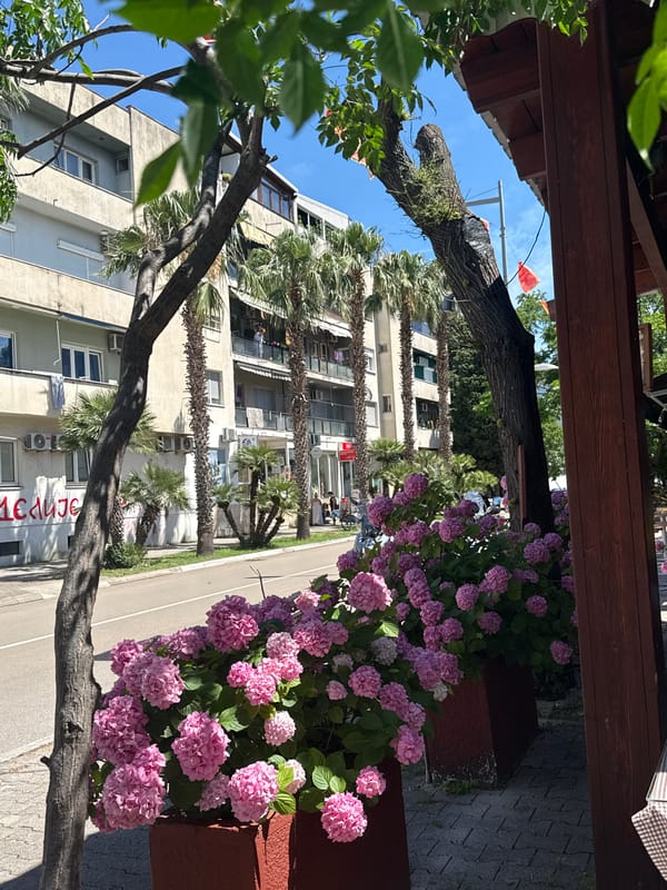 Morning street life captured in Bar, Montenegro