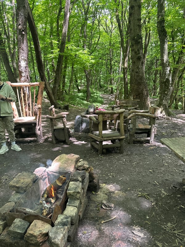 Forest camping and cooking documented in dense woodland area