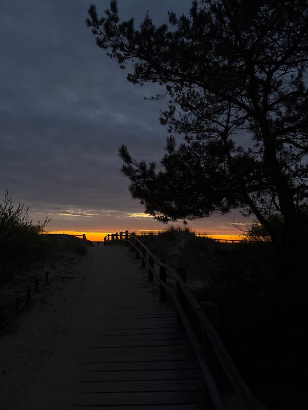 Dusk boardwalk scene captured at Carnikava coast, Latvia