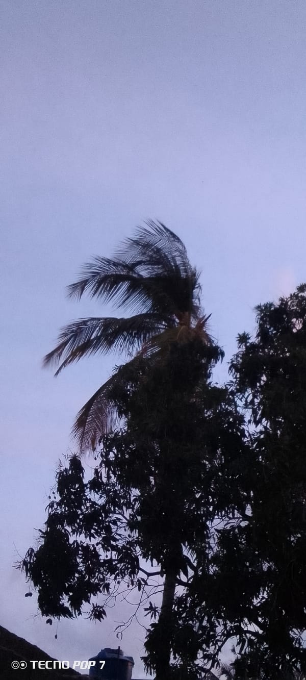 Sunset documented across Altagracia, Venezuela in coordinated witness captures