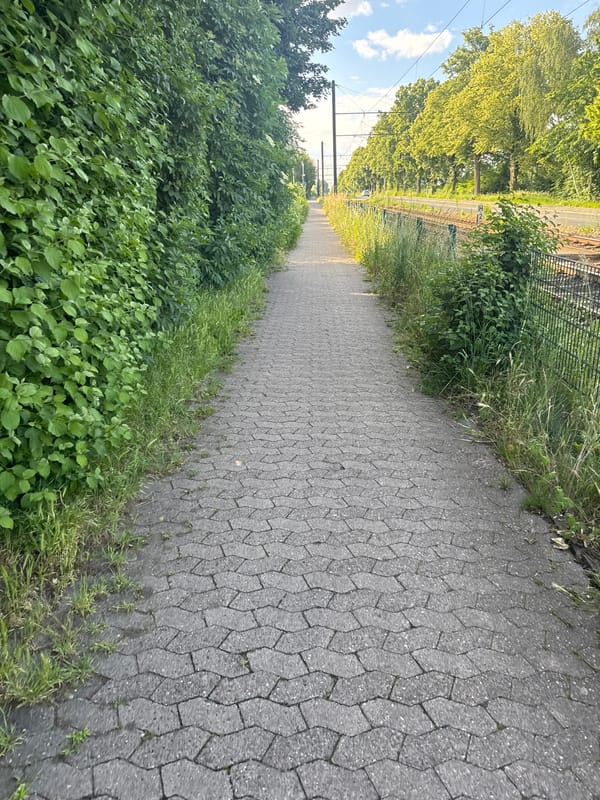 Morning bike ride captures urban landscapes and wildlife