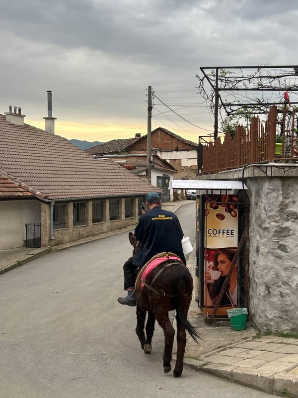 Man rides donkey with pink saddle through Bulgarian town streets