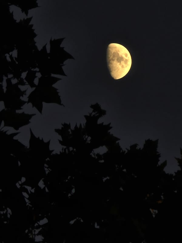 Moon-watching and nighttime Paris from Montrouge