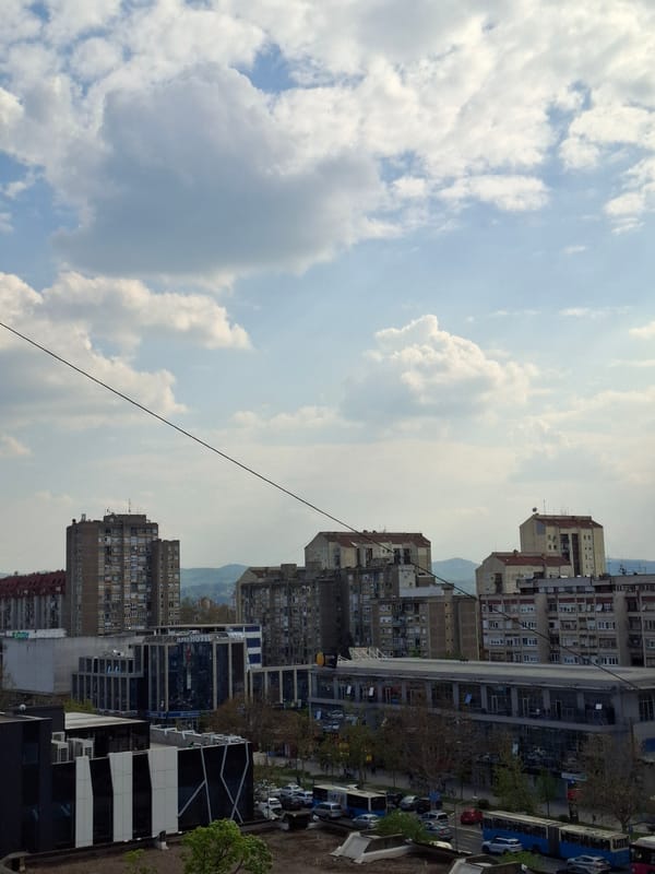 Cat documented in detailed photo session in Novi Sad