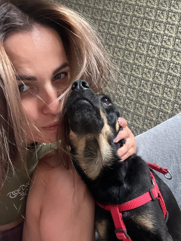 Lazy morning at home with a dog, plus a car errand