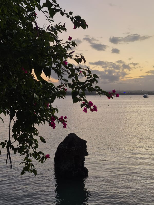 Witness captures diverse waterfront scenes across Dar es Salaam