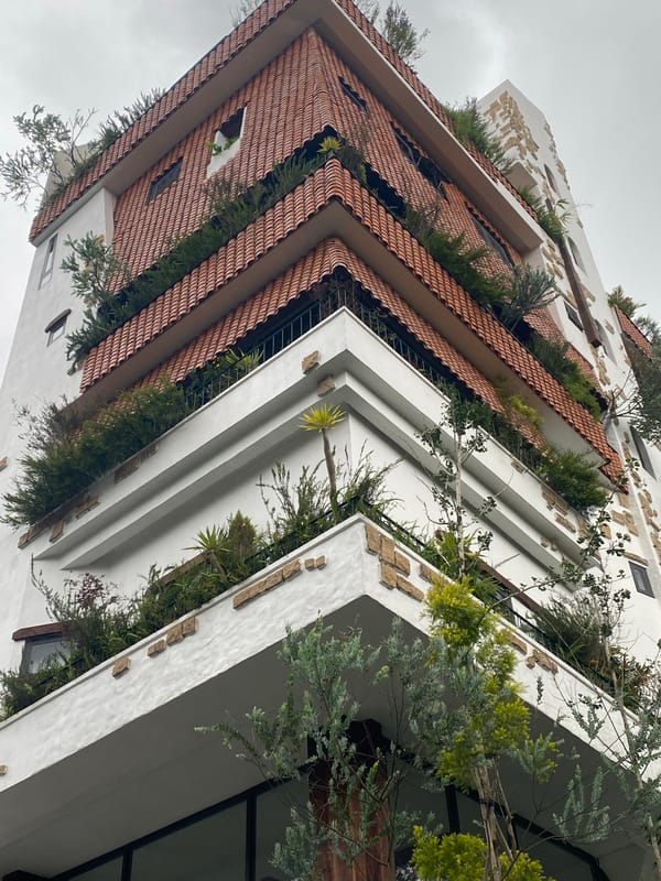Architecture and wall art in Đà Lạt's Lâm Viên district