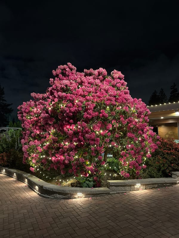 Evening scenes captured across Burnaby's residential and recreational areas