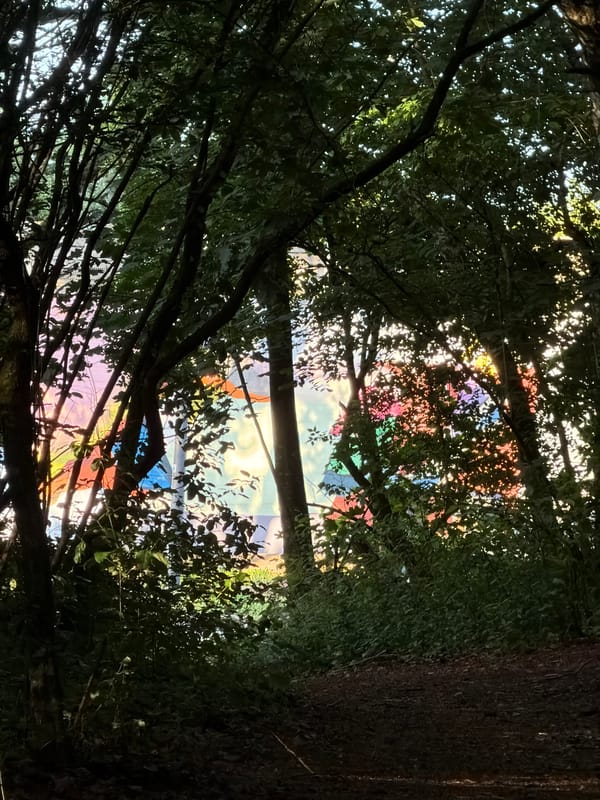 Evening woodland walk documented in Schifflange, Luxembourg