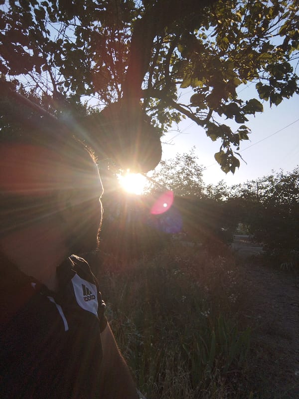 Wandering rural roads and fields at golden hour