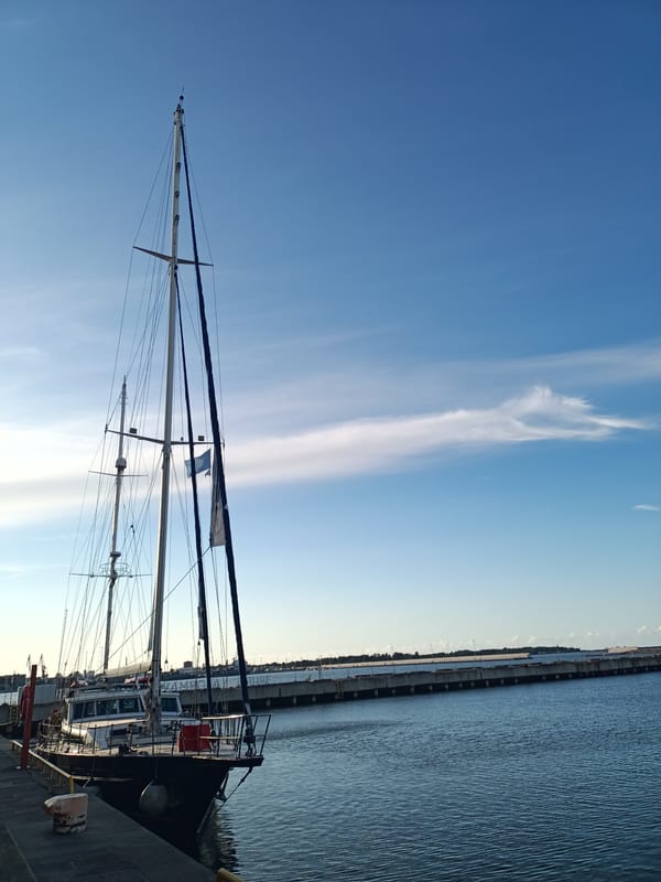 Sunny afternoon at Tallinn's marina, sailboats and yachts docked