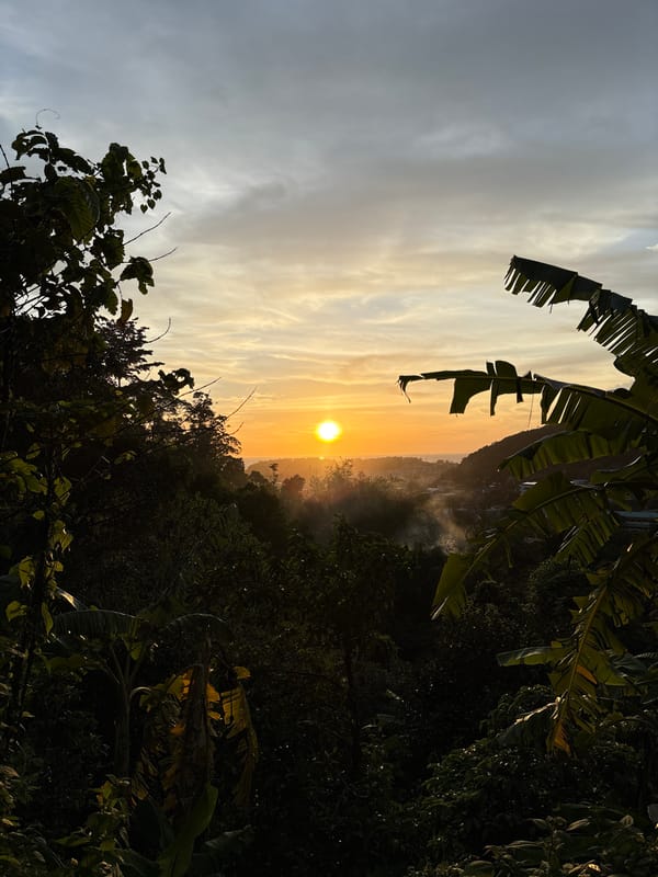 Sunset dog walks and selfies captured in Karon, Thailand