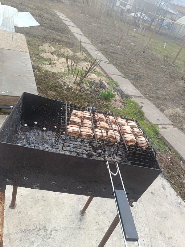 Backyard barbecue gathering with Pomeranian dog in Chaikovsky, Russia
