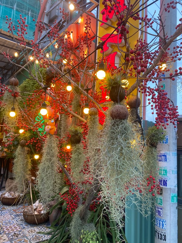 Roadside curiosities and decorations along Mũi Né streets