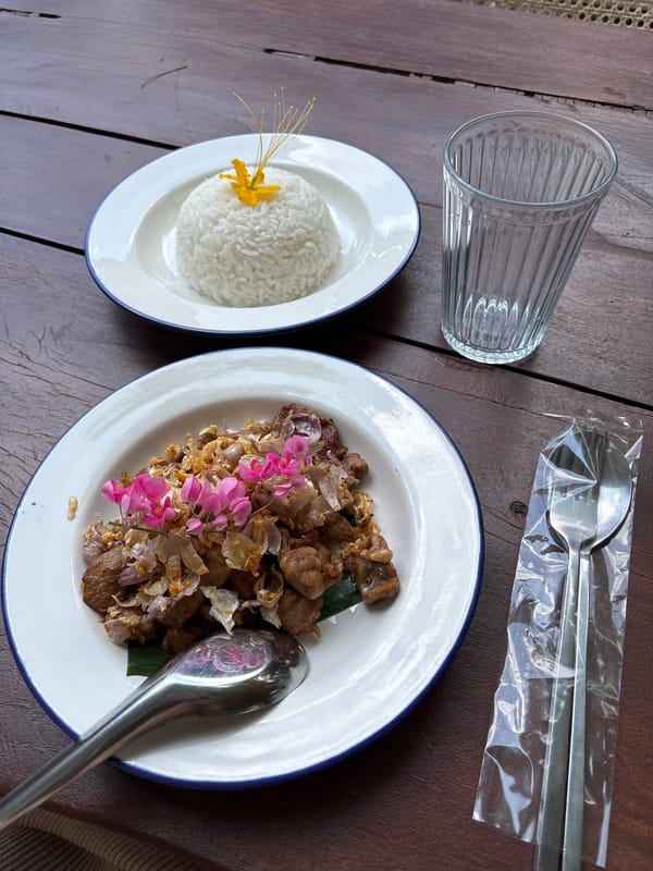 Diner documents traditional Thai meal at Michelin-recognized Si Sunthon restaurant