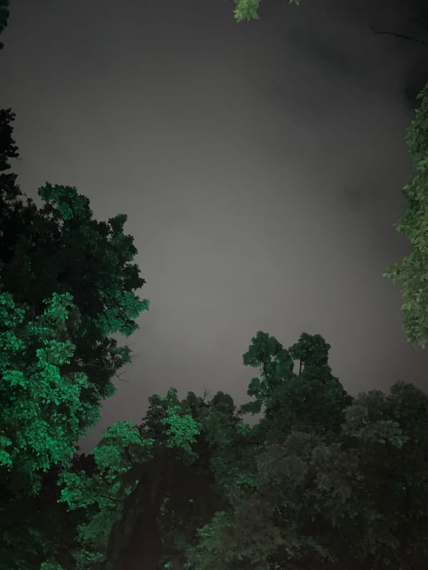 Evening park scenes documented in Plovdiv, Bulgaria