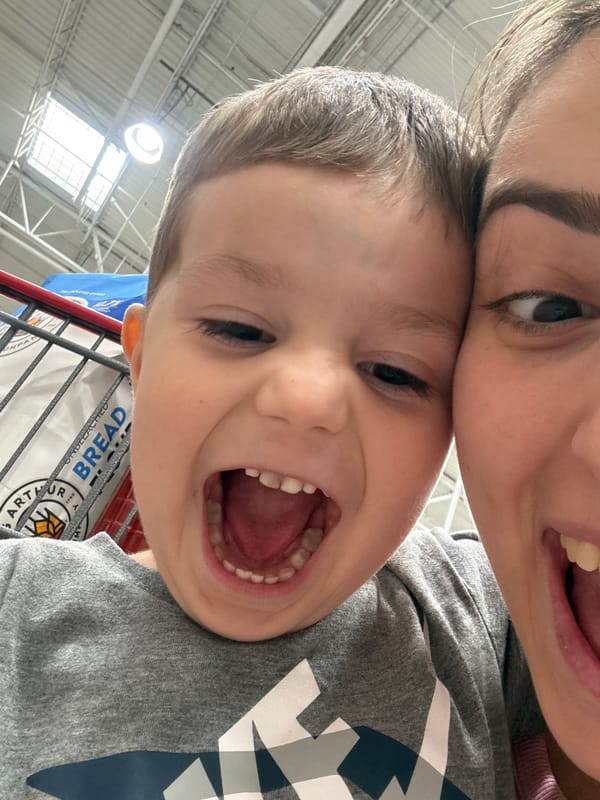 Afternoon Costco trip in Yonkers with goofs and groceries