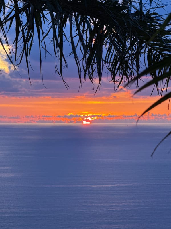 Dramatic ocean sunset with multiple perspectives and palm framing