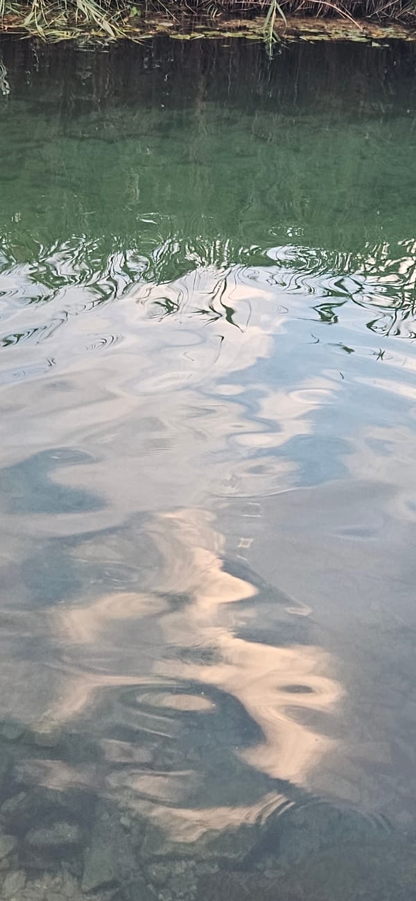 Swimming and wandering the reed-lined waterways of Hévíz at dusk