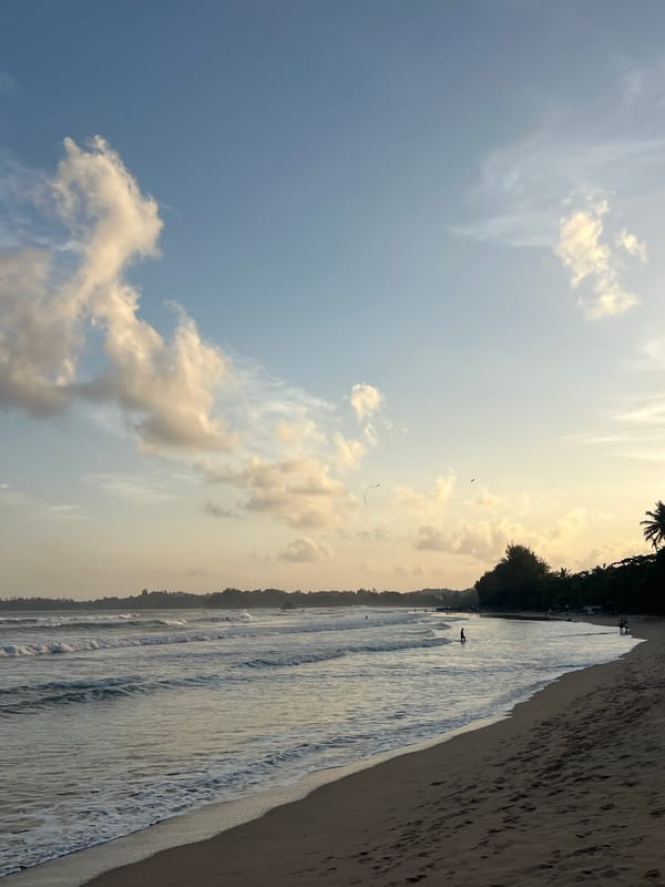 Surf and shoreline at Peleana Beach, Sri Lanka