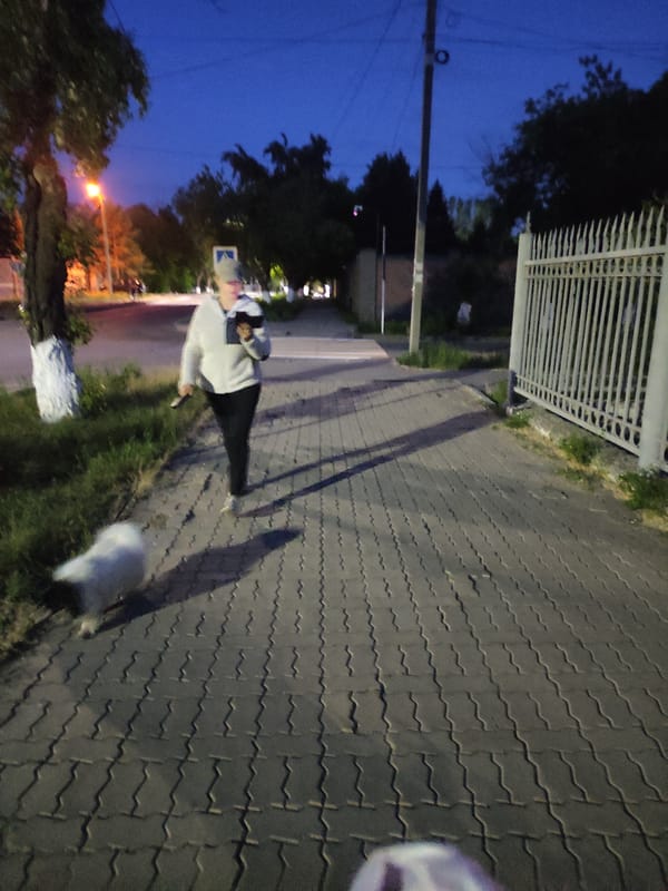 Routine street activity, concerning restaurant incident reported in Pavlodar