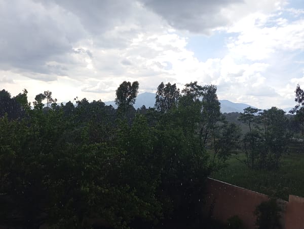 Rainy landscape with green vegetation documented by witness