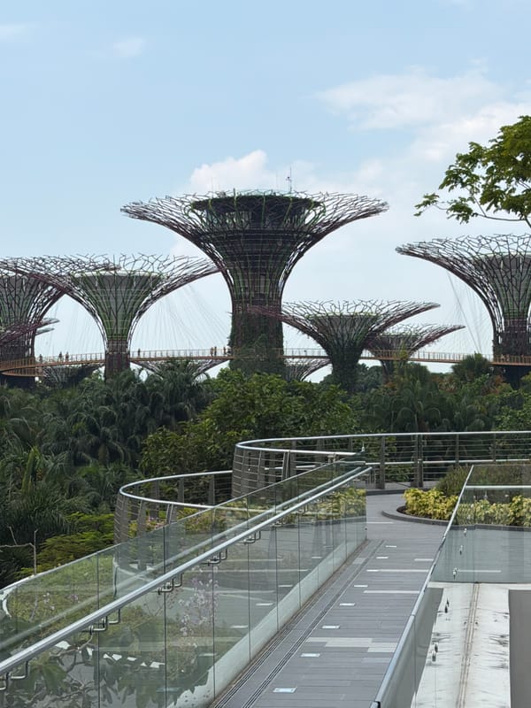 Morning tour through Gardens by the Bay and Botanic Gardens