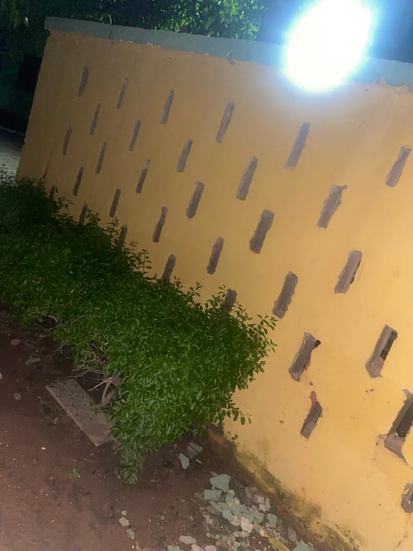 Nighttime details: razor wire, soil, plants, and a parked motorcycle