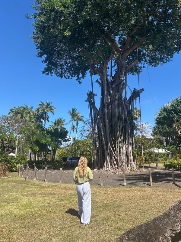 Tourists explore tropical resort grounds in Sainte-Anne, Guadeloupe