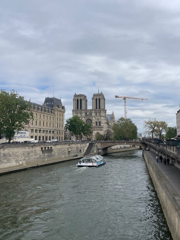 Notre-Dame restoration continues with crane visible from Seine