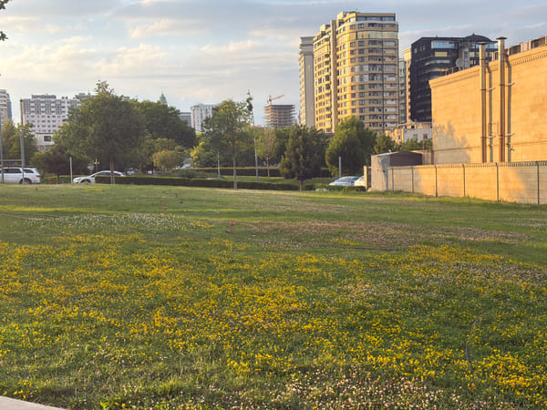 Afternoon in a Baku city park, golden light and greenery