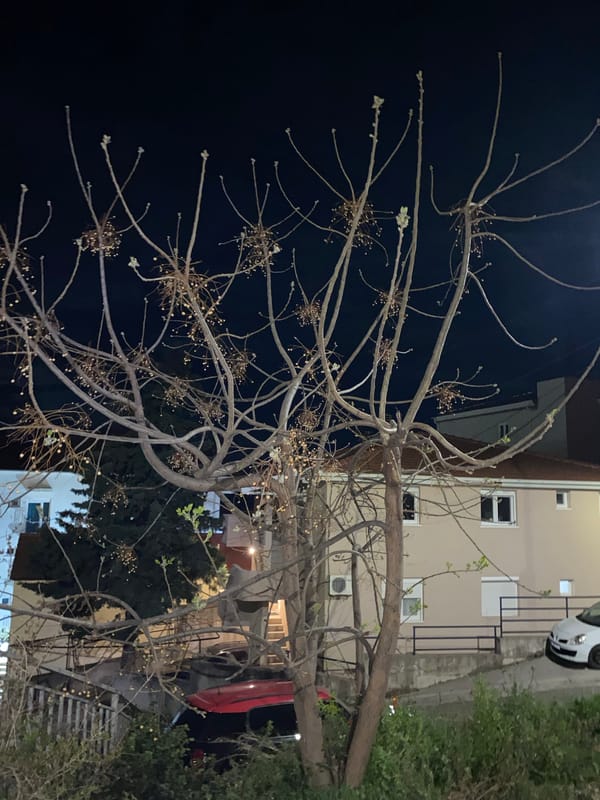 Night scenes captured in residential Budva, Montenegro